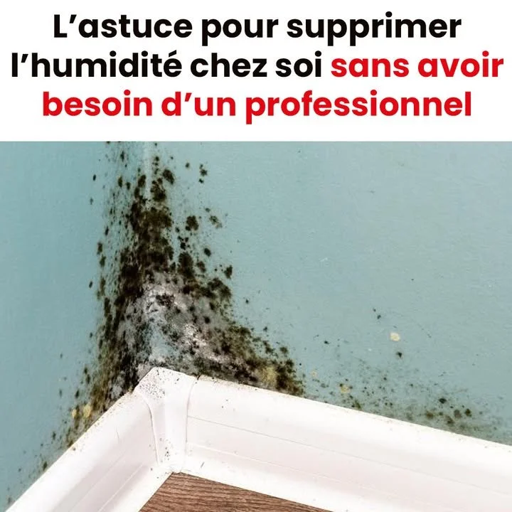 Murs avant et après enlever la moisissure avec une méthode simple