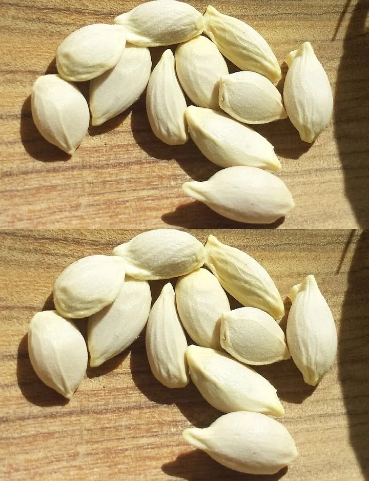 Pépins de citron, riches en bienfaits à ne pas jeter après pressage.