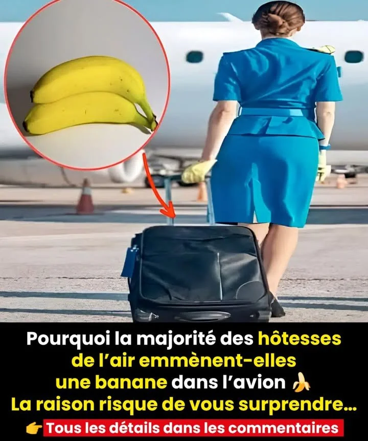 Hôtesses de l'air emportant une banane à bord de l'avion